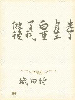 做了白月光替身后我重生了(雪刀)