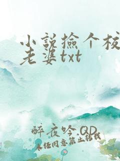 小说捡个校花做老婆txt