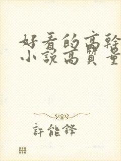 好看的高干言情小说高质量文笔好