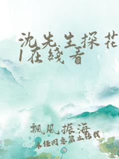 沈先生探花…91在线看