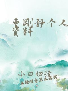 曹刚静个人简介资料