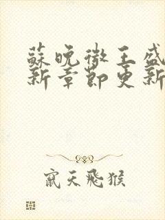 苏晚微王盛辉最新章节更新时间