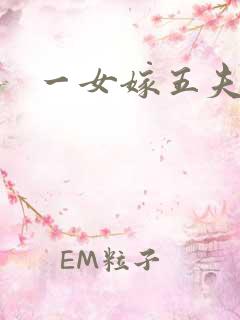 一女嫁五夫小说