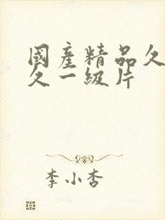 国产精品久久久久一级片