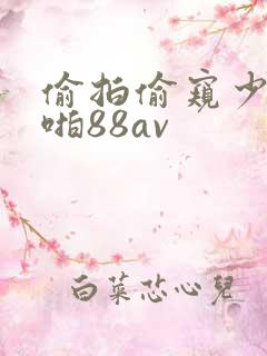 偷拍偷窥少妇啪啪88av