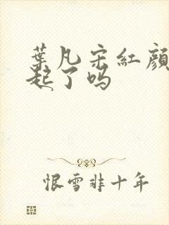 叶凡宋红颜在一起了吗