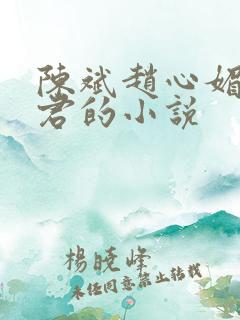 陈斌赵心媚高婉君的小说