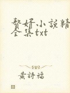 赘婿小说精校版全集txt