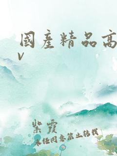 国产精品高潮av