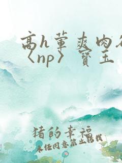 高h荤爽肉欲文〈np〉宝玉