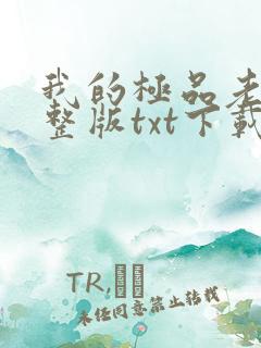 我的极品老婆完整版txt下载