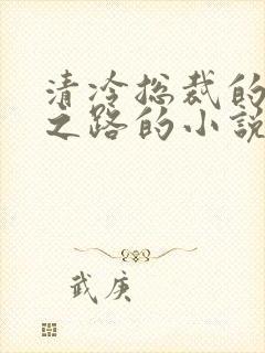 清冷总裁的雌堕之路的小说