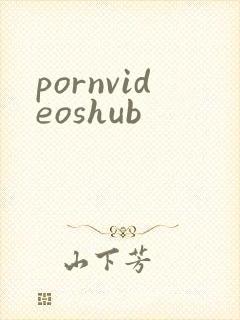 pornvideoshub