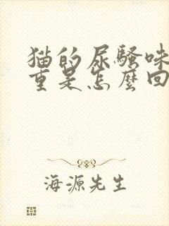 猫的尿骚味特别重是怎么回事