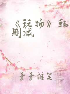 《玩物》韩国未删减