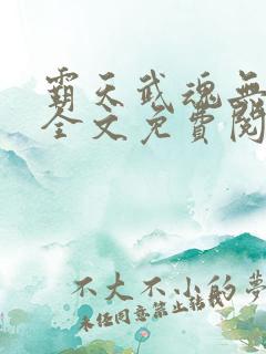 霸天武魂无弹窗全文免费阅读