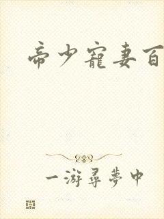 帝少宠妻百分百