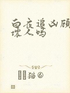 白夜追凶顾局是坏人吗