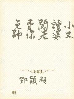 免费阅读小说少帅你老婆又跑了全文