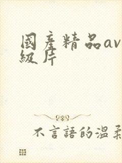 国产精品av一级片