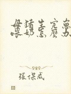 母猪生完崽不给喂奶怎么办