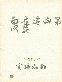 白夜追凶第二季网盘