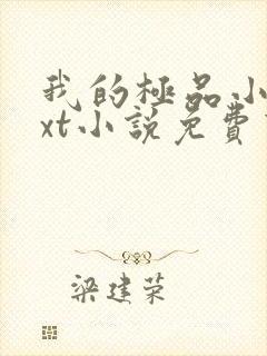 我的极品小姨txt小说免费下载