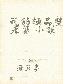 我的极品双胞胎老婆 小说