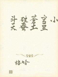 斗破苍穹小说 天蚕土豆