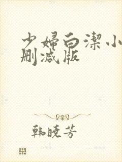 少妇白洁小说无删减版