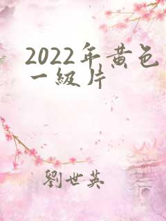 2022年黄色一级片