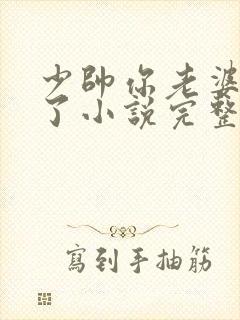 少帅你老婆又跑了小说完整版