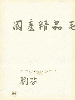 国产精品 毛片