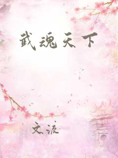 武魂天下