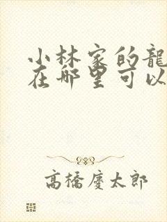 小林家的龙女仆在哪里可以看