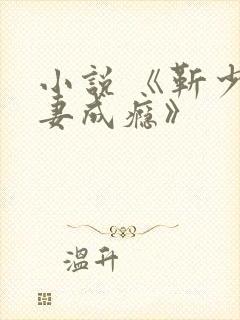 小说 《靳少宠妻成瘾》