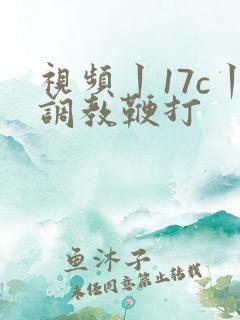 视频丨17c丨调教鞭打