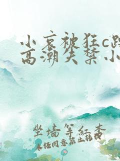 小哀被狂c躁到高潮失禁小说