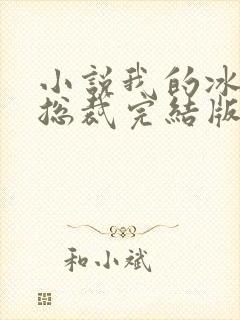 小说我的冰山女总裁完结版