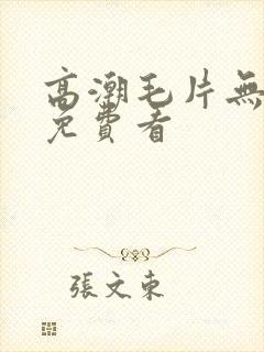 高潮毛片无遮挡免费看