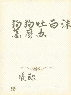 狗狗吐白沫黏液怎么办