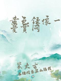 黄色录像一级片爱赏网