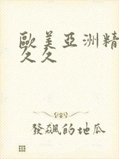 欧美亚洲精品久久久