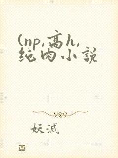 (np,高h,纯肉小说