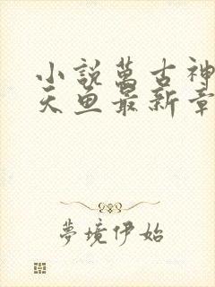 小说万古神帝飞天鱼最新章节阅读