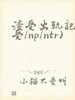 渣受出轨记(总受/np/ntr)