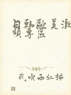 日韩欧美激情视频专区