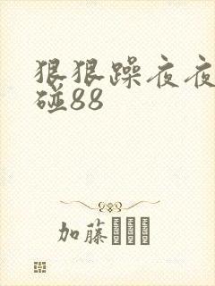 狠狠躁夜夜躁爽碰88