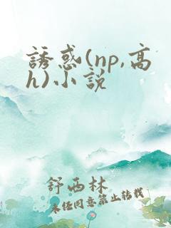 诱惑(np,高h)小说