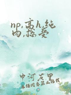 np,高h,纯肉,总受